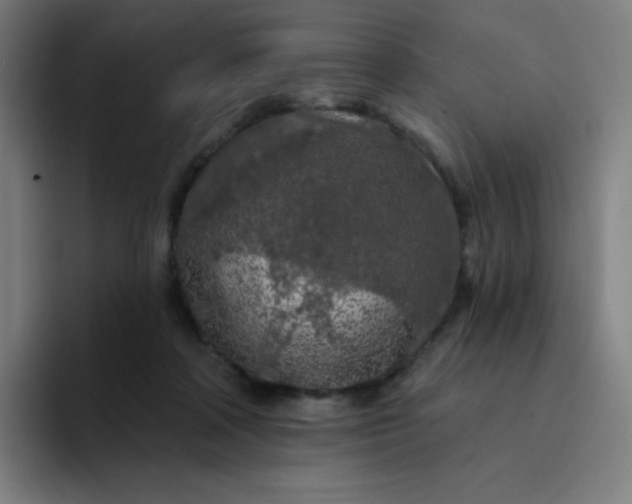 X0000094380314200711162136