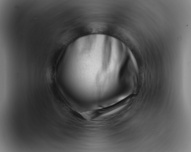 X0000094380316200711162136