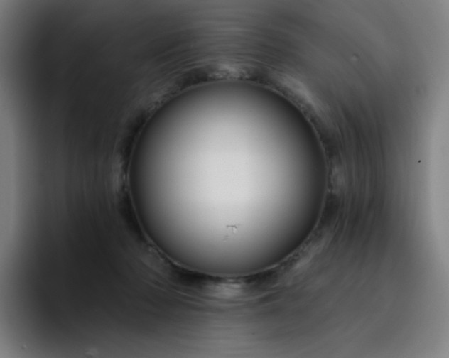 X0000094380318200711162136