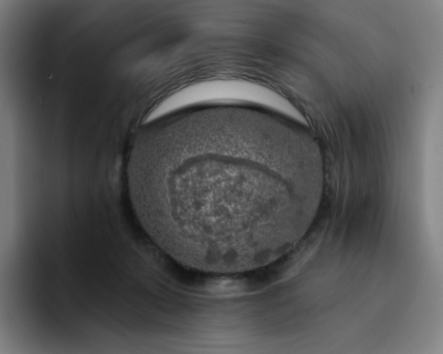 X0000094380319200711162136