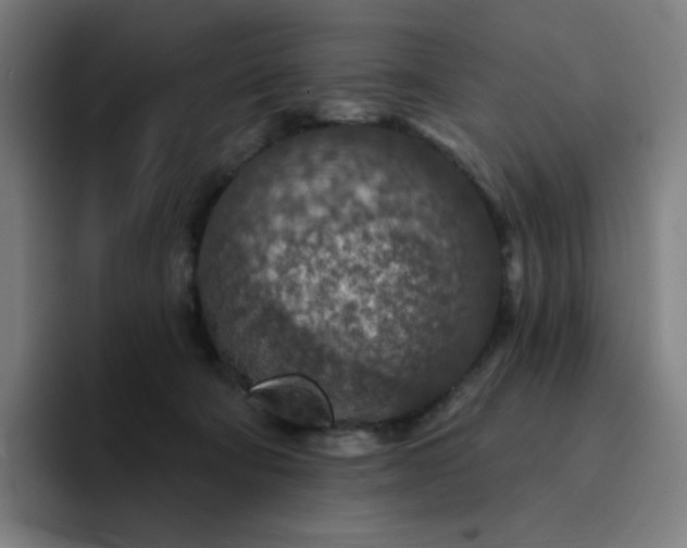 X0000094380322200711162136