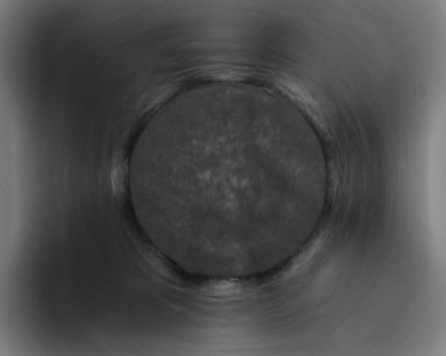 X0000094380325200711162136