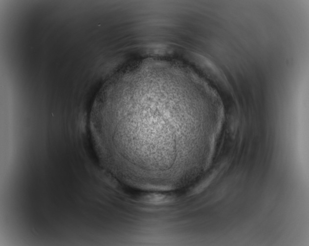 X0000094380326200711162136