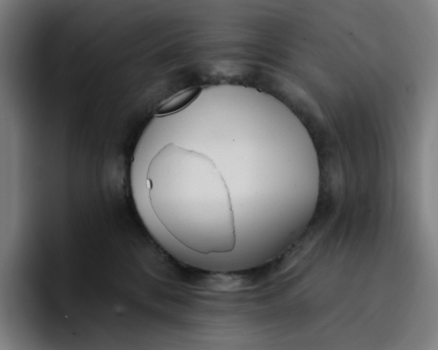 X0000094380328200711162136