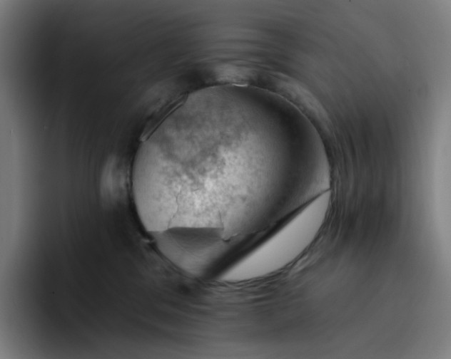 X0000094380329200711162136