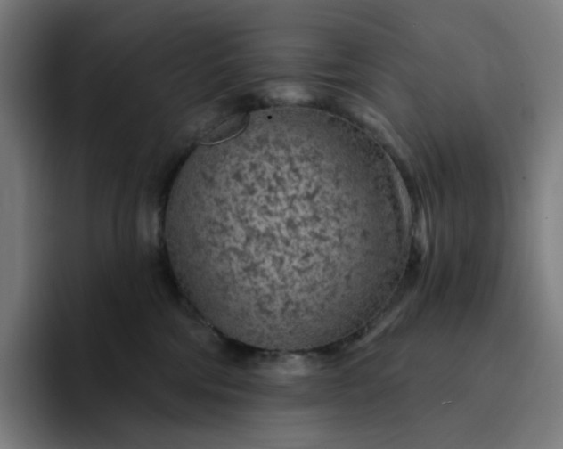 X0000094380330200711162136