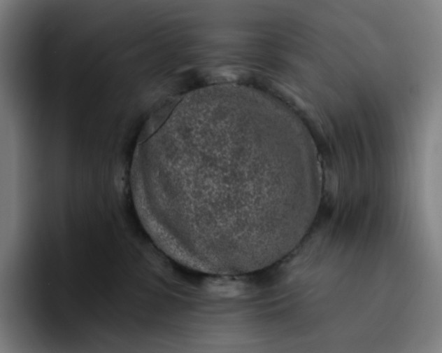 X0000094380331200711162136