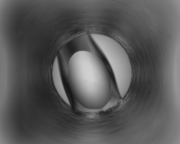X0000094380333200711162136