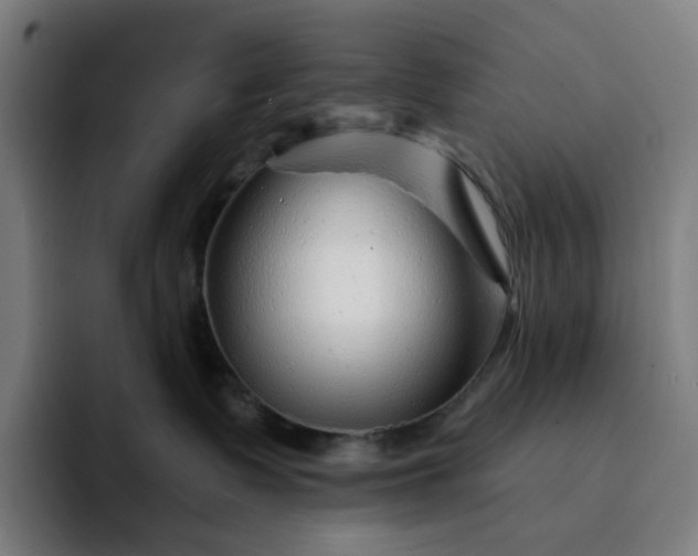 X0000094380335200711162136