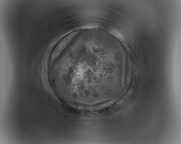 X0000094380337200711162135