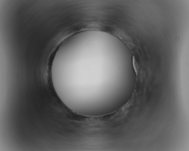 X0000094380338200711162135