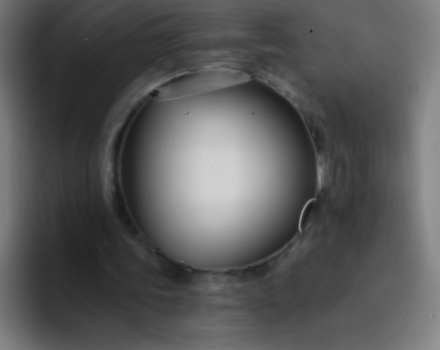 X0000094380339200711162135