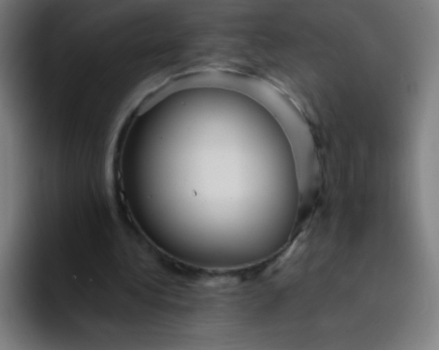 X0000094380340200711162135