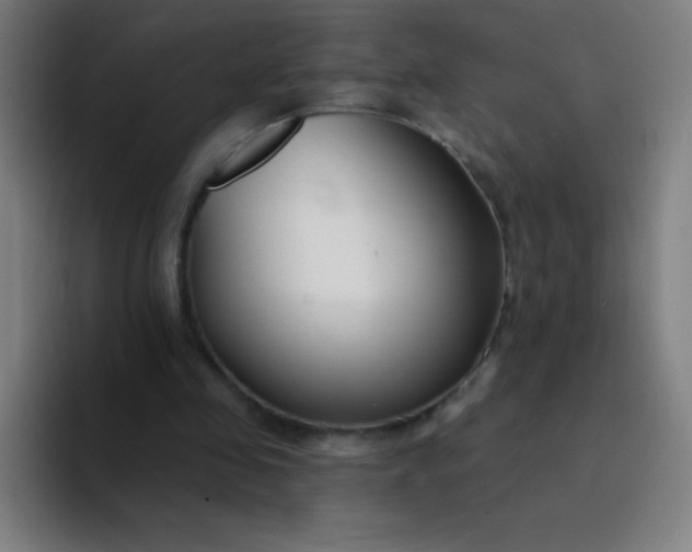 X0000094380341200711162135