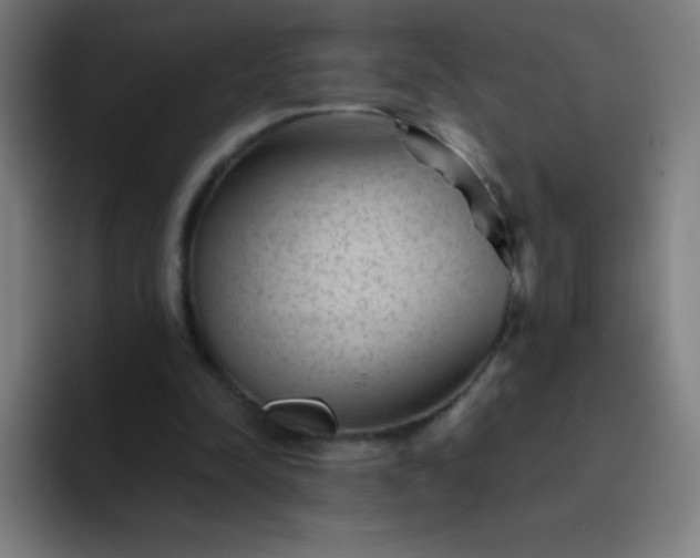 X0000094380342200711162135