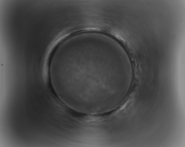 X0000094380343200711162135