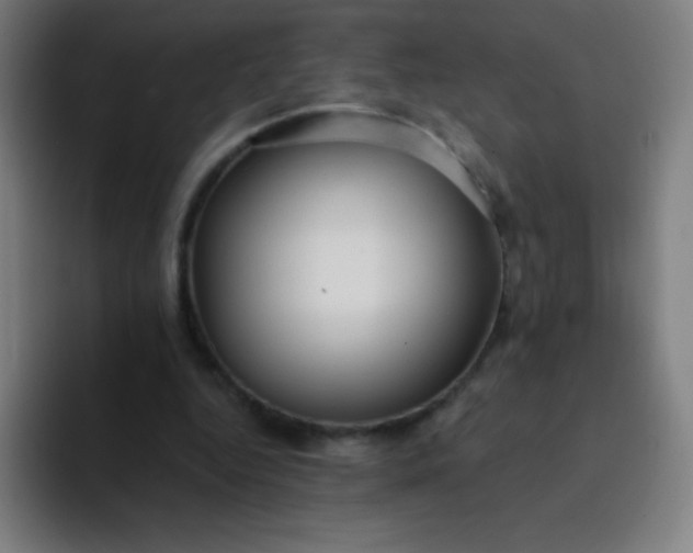X0000094380344200711162135