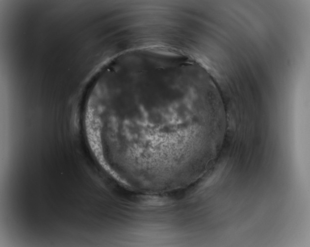 X0000094380347200711162135