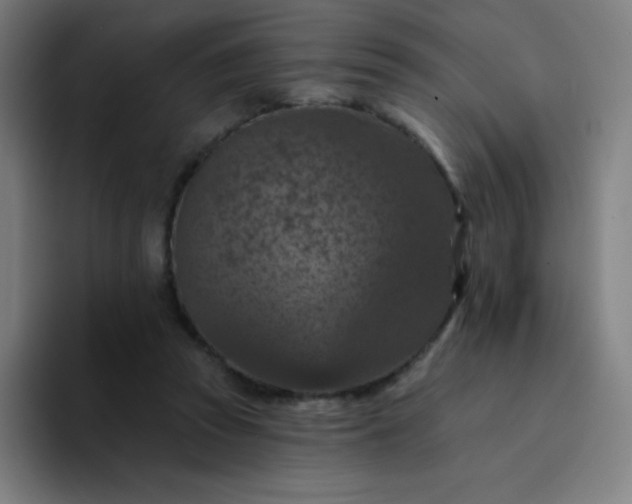 X0000094380353200711162135