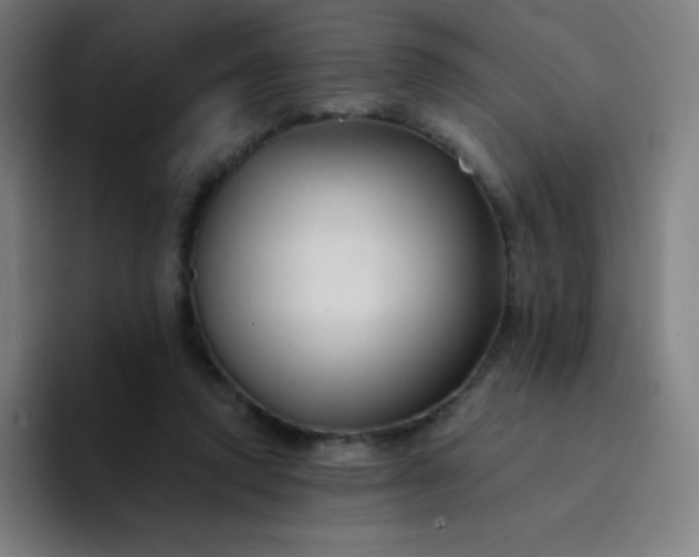 X0000094380354200711162135
