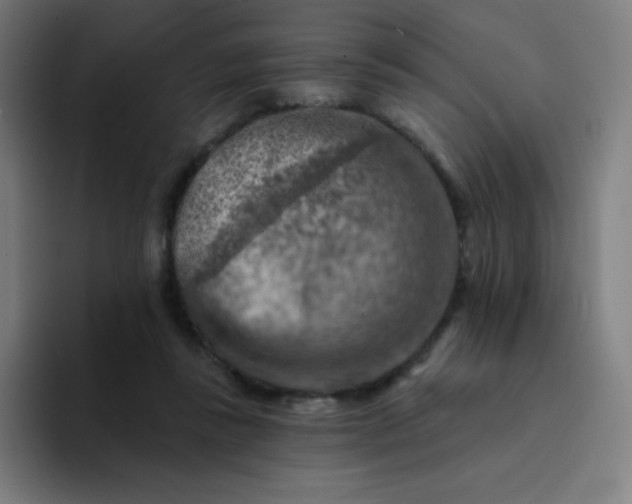 X0000094380355200711162135