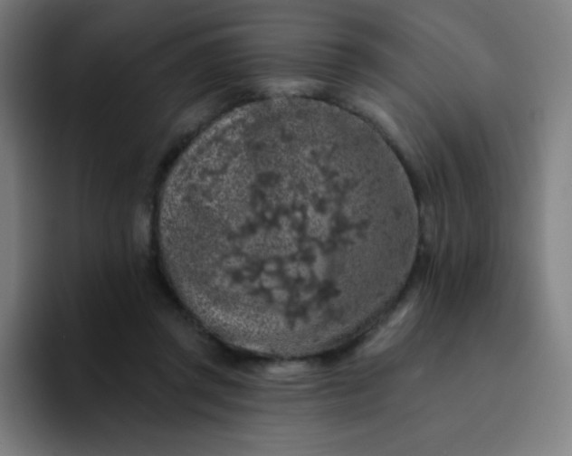 X0000094380357200711162135
