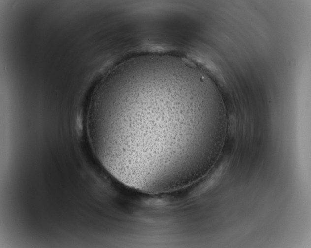 X0000094380358200711162135