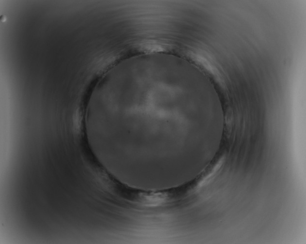 X0000094380359200711162135