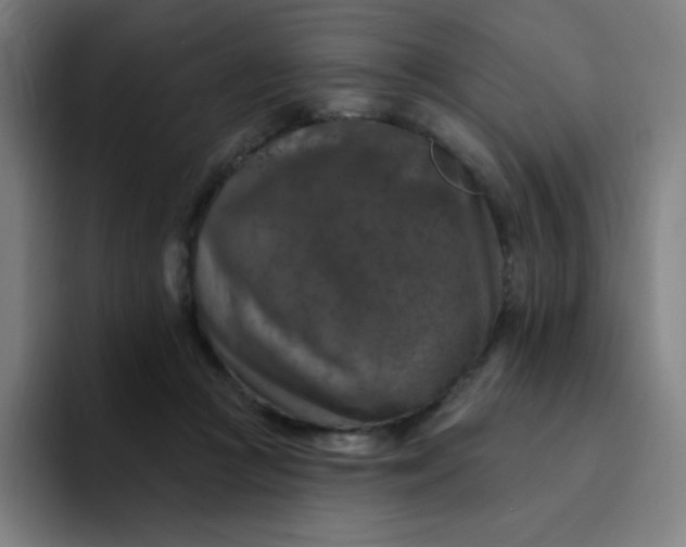 X0000094380361200711162135