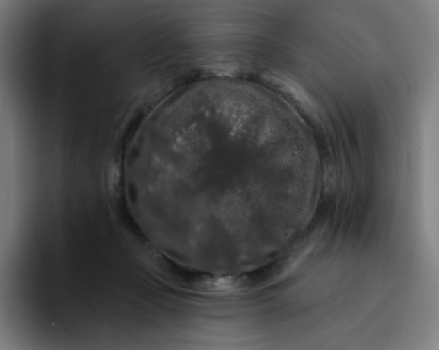 X0000094380365200711162135
