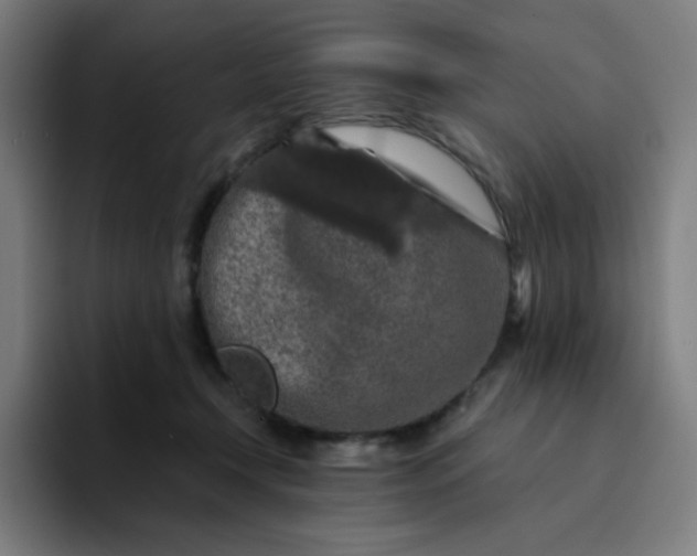 X0000094380366200711162135