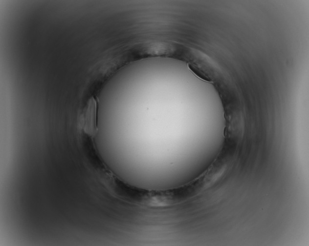 X0000094380368200711162135