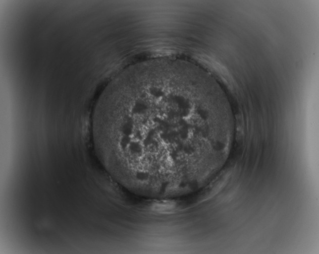 X0000094380369200711162135