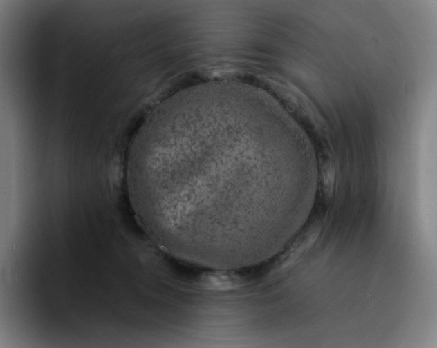 X0000094380372200711162135