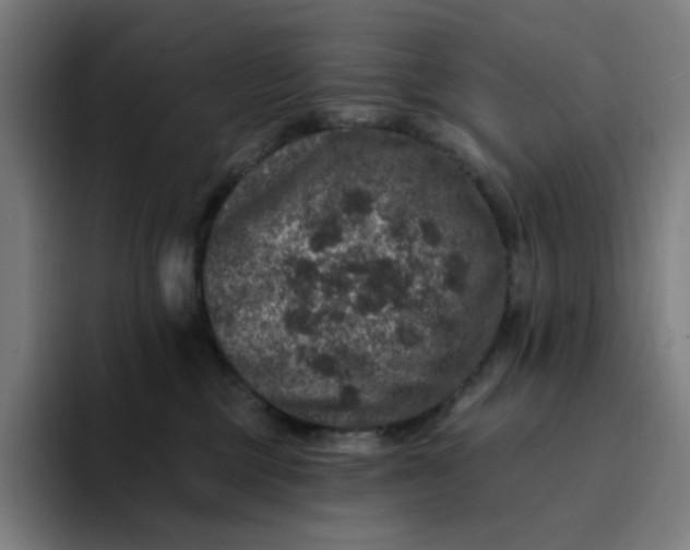 X0000094380377200711162135