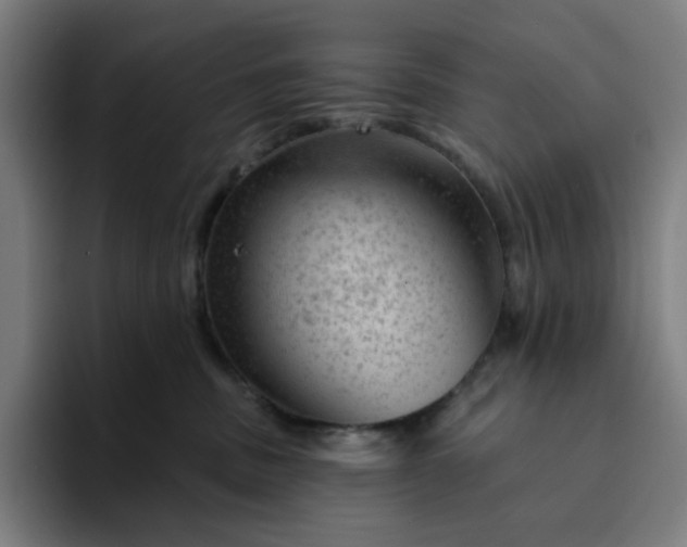 X0000094380379200711162135