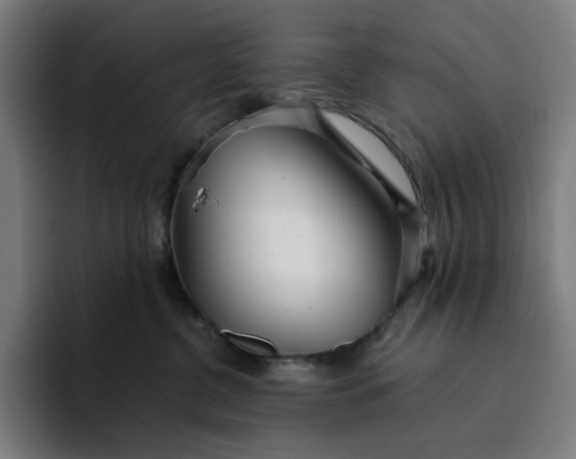 X0000094380380200711162135