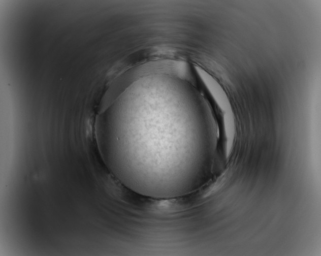 X0000094380382200711162135