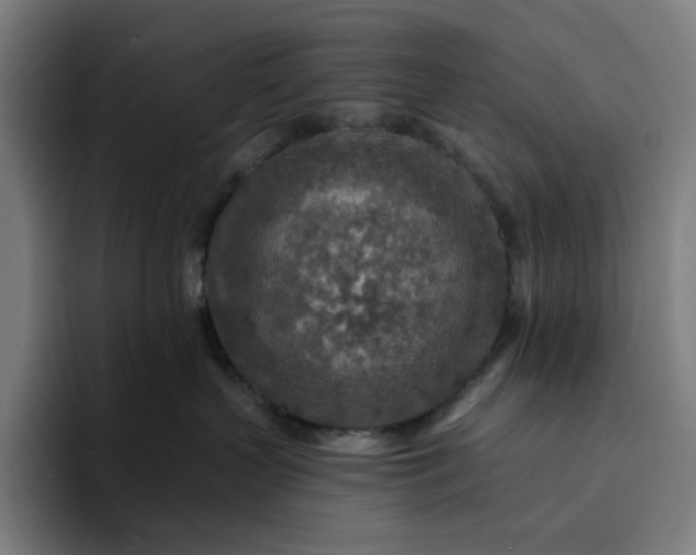 X0000094380383200711162135