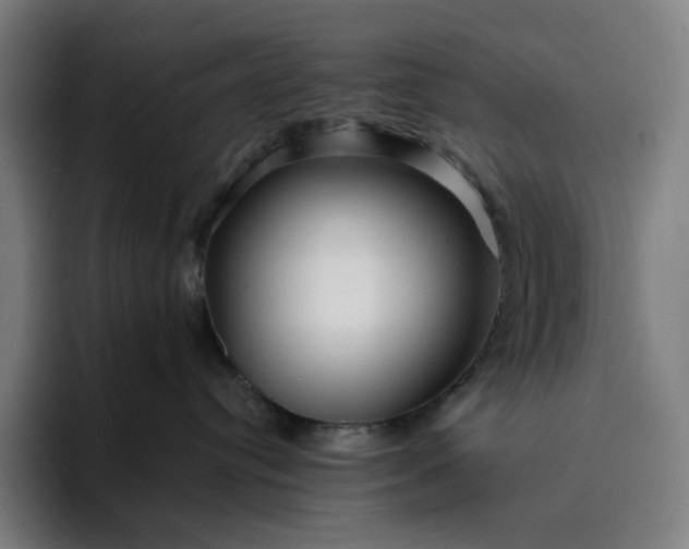 X0000094380384200711162135