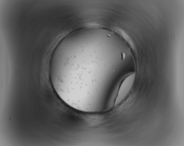 X0000094380385200711162135