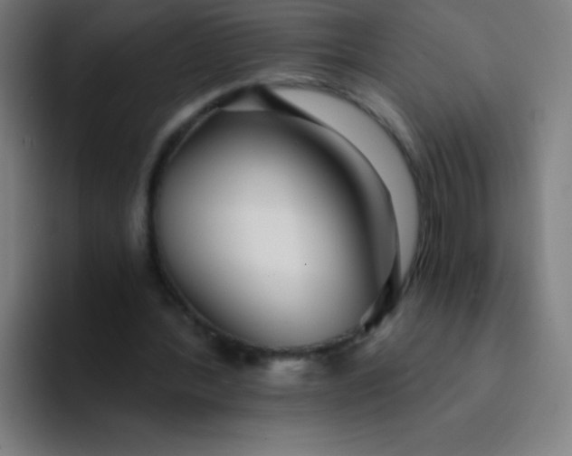 X0000094380388200711162135