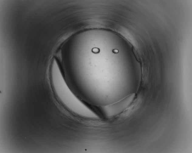 X0000094380389200711162135