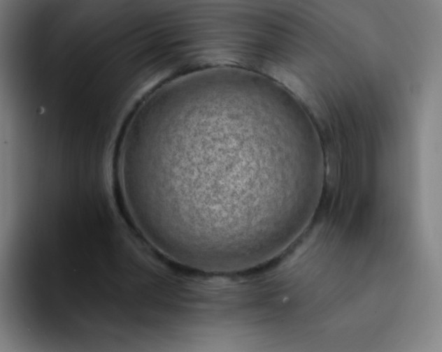X0000094380390200711162135
