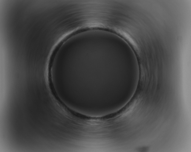 X0000094380391200711162135