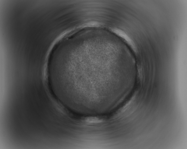 X0000094380392200711162135
