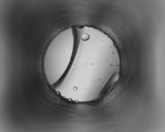 X0000094380393200711162135