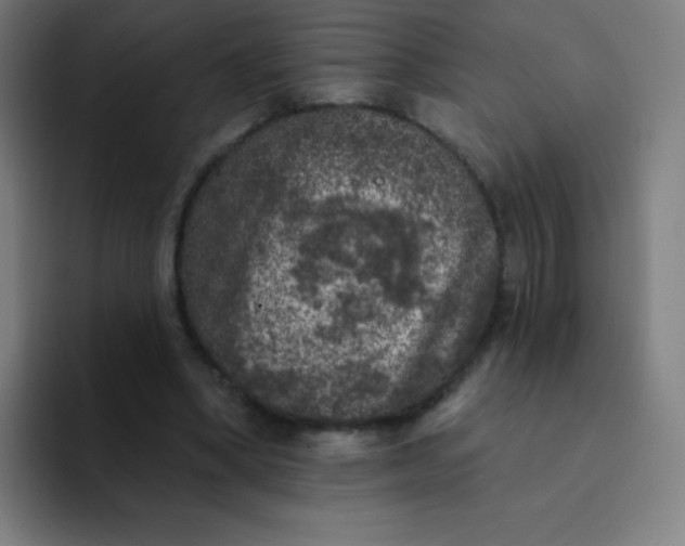 X0000094380394200711162135
