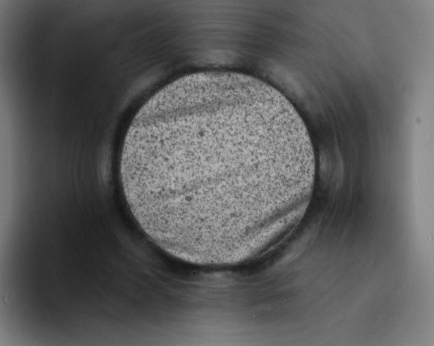 X0000094380396200711162135
