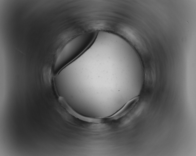X0000094380397200711162135
